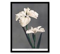 Artery8 Ogawa Kazumasa White Water Iris Flowers Framed Wall Art Print Home Décor A3