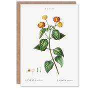 Artery8 Pierre-Joseph Redouté Art Card Lantana Plant Vintage Botanical Illustration