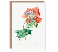 Artery8 Pierre-Joseph Redouté Art Card Poppy Flower Vintage Botanical Illustration