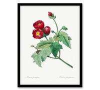 Artery8 Pierre Joseph Redoute Callirhoe Poppy Mallow Flower Framed Wall Art Print Home Décor A3