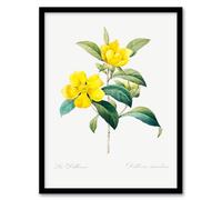 Artery8 Pierre Joseph Redoute Golden Guinea Vine Flowers Framed Wall Art Print Home Décor A3