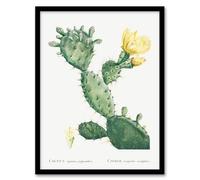 Artery8 Pierre Joseph Redoute Opuntia Polyanthos Cactus Framed Wall Art Print Home Décor A4