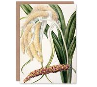 Artery8 Sarah Featon Art Card New Zealand Perching Lily Flower Plant