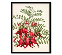 Artery8 Sarah Featon New Zealand Kaka Beak Plant Flowers Framed Wall Art Print Home Décor A4