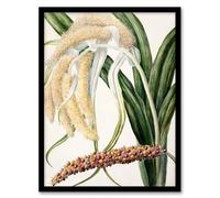 Artery8 Sarah Featon New Zealand Perching Lily Flower Plant Framed Wall Art Print Home Décor A3
