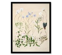Artery8 Sarah Featon New Zealand Perennial Wild Flowers Framed Wall Art Print Home Décor A3