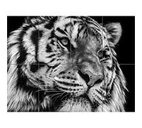 Artery8 Tiger Close Up Photograph XL Giant Panel Poster (8 Sections) Fermer Photographier Affiche
