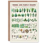 Artery8 Willson and Calkins Art Card Chart No XIX Vintage Botanical