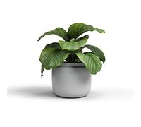 Artevasi Astrea Pot, Pot de Fleur, Pot décoratif, Céramique Fait à la Main, Couleur Gris Clair, 20cm