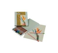 Crayon Pastel - Bruynzeel - Boîte de 12 - Couleurs Assorties - Haute Qualité - Mixte