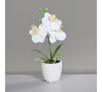ARTF-Orchidée artificielle blanche avec pot en céramique crème - 25 cm