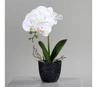 ARTF-Orchidée Phalaénopsis artificielle blanche en pot céramique crème - 48 cm
