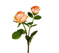 ARTF-Rose artificielle rose avec une fleur et un bouton - 57 cm