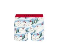 ARTHUR - Boxer Homme - Coton Bio Stretch et Doux - Confort et Maintien Optimal - Motif 2cv des Montagnes Blanc - Taille M