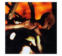 Arthur, Joseph – Redemption's Son – Virgin Mobile