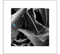 Arthur King – Changing Landscapes (Wauters Farm) – Vinyle (LP) – Membran