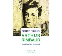 Arthur Rimbaud ou l'éclatant désastre