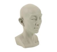 Artibetter Buste en Plâtre Tête de Squelette Compact, Sculpture Décorative Blanche, Modèle Artistique pour Étudiants en Dessin, Accessoire Pédagogique Maison et Bureau, Figurine Statuette