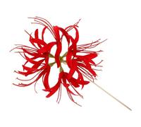 Artibetter Épingles à Cheveux Accessoire Sophistiqué et Polyvalent Rouges Orientales en Alliage de Zinc pour Femmes, pour Tenues Modernes et Occasions Décontractées
