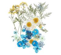 Artibetter Fleurs Séchées Fleur Séchée Décorative Artisanale Bleue pour Loisirs Créatifs DIY et Bricolage