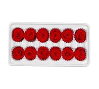 Artibetter Lot de 12 Fleurs Stabilisées Rouges, Tiges 3-4 CM, pour Décoration de Mariage, Fêtes et Bouquets Faits Main