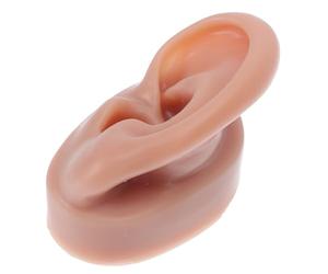 ARTIBETTER Modèle Oreille Artificielle Silicone Souple Gauche pour Formation Piercing, Usage Pédagogique Médical et Initiation aux Boucles d'Oreilles