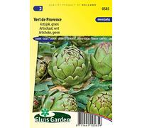 Artichaut Vert de Provence - Légumes ou plantes à fruit