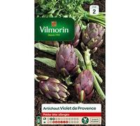 Artichaut Violet de Provence