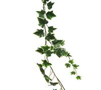 Artif-déco.com - Guirlande de lierre artificiel L180 cm 96 feuilles Panaché - BEST - couleur: Blanc-vert