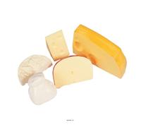 Artif-déco-mag.com - Assortiment de 5 fromages en Lot de 5 en Plastique soufflé L 60-155 mm