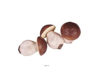 Artif-déco-mag.com - Bolets artificiels en Lot de 3 en Plastique soufflé H 100x65 mm