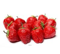 Artif-déco-mag.com - Fraise Artificielle Rouge en Lot de 12 en Plastique soufflé H 50 mm