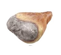 Artif-déco-mag.com - Jambon Fumé artificiel desosse en Plastique soufflé H 350x290 mm