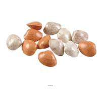 Artif-déco-mag.com - Petits coquillages assortis en lot de 12 en Plastique soufflé D 60 mm