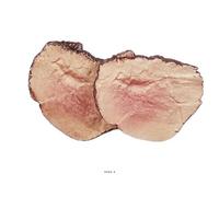 Artif-déco-mag.com - Tranches de rosbeef roti en lot de 2 en Plastique soufflé L 130x100 mm