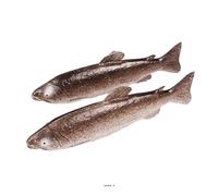 Artif-déco-mag.com - Truite artificielle en lot de 2 en Plastique soufflé L 330x90 mm