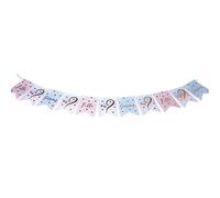 Artifetes Guirlande 11 FANIONS Gender Reveal Party 13X18CM