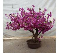 Artificial Bougainvillea Tree with Wooden Base - Realistic Silk Petals, Sturdy Trunk, Perfect for Patio, Living Room & Commercial Spaces(6.5mx5m)