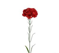 Artificial Carnation Flowers 51cm Silk Realistic Single Stem(Dark red)