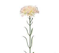 Artificial Carnation Flowers 51cm Silk Realistic Single Stem(Meat Rosy)