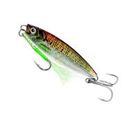 Artificial Fishing Lure Simulation Set, Realistic Plate Lure Kit, for Use, with Hooked Catch Design Feature, Effective Fake Bait System, Beginner Angler Fishing Gear Accessory
