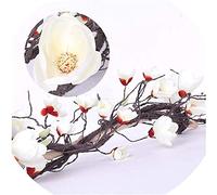 Artificial Flowers for Decoration Artificial Flow Wedding Arch Decoration Flower Wall Ivy Vine Wreath Artificial Flower Wreath Hanging Branch Wall Flower Wreath (Color : Rose Red Size : White) (Ros