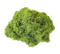 Artificial Garden Grass, Decorative Moss Filler, Handmade Green Craft Material, Colorfast Aquarium Scenery Moss, Breathable Landscaping Decor for Terrarium Walls Paintings Home Garden Use 100g