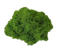 Artificial Garden Grass, Decorative Moss Filler, Handmade Green Craft Material, Colorfast Aquarium Scenery Moss, Breathable Landscaping Decor for Terrarium Walls Paintings Home Garden Use 100g