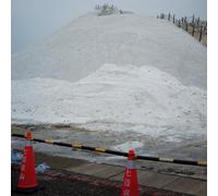 Artificial Salvation