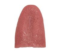 Artificial Simulation Tongue - Halloween Elastic Gag Prop | Funny Stretchable Fake Tongue Toy, Durable Prank Accessory for Performers, Actors, Magic Shows, Theater Plays, Cosplay Events, April Fool