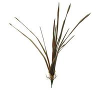 Artificielles.com - Dragonnier de Madagascar artificiel en piquet H 53 cm Vert-Rouge