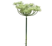 Artificielles.com - Fleur de carotte sauvage artificielle en tige, H72cm Crème vert - BEST - couleur: Crème vert