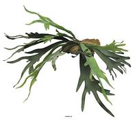 Artificielles.com - Fougère Platycerium factice socle imitation mousse H50cm D80cm -BEST - dimhaut: H 50 cm - couleur: Vert