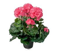 Artificielles.com - Géranium factice Rose fushia 6têtes en pot lesté H35cm belles feuilles - couleur: Rose fushia